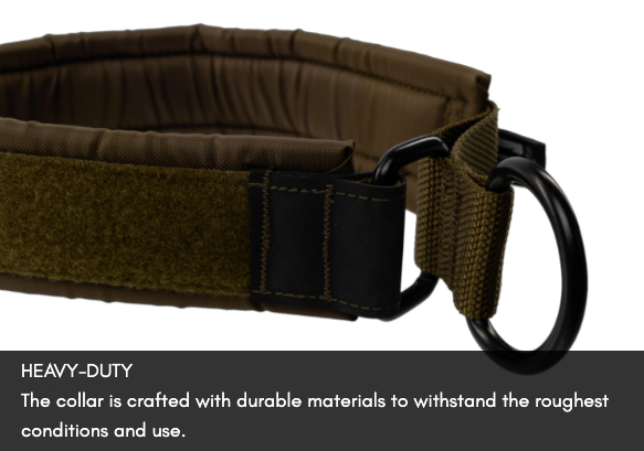 SOLID COLLAR WD