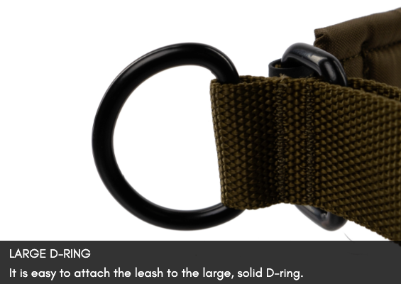 SOLID COLLAR WD