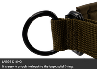 SOLID COLLAR WD