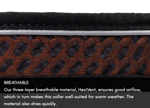 ROCK COLLAR 3.0