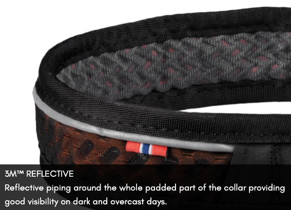ROCK COLLAR 3.0