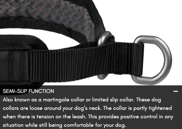 ROCK COLLAR 3.0