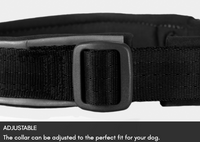 ROAM COLLAR