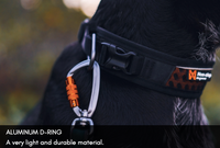 ROCK ADJUSTABLE COLLAR