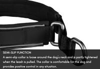 CRUISE COLLAR