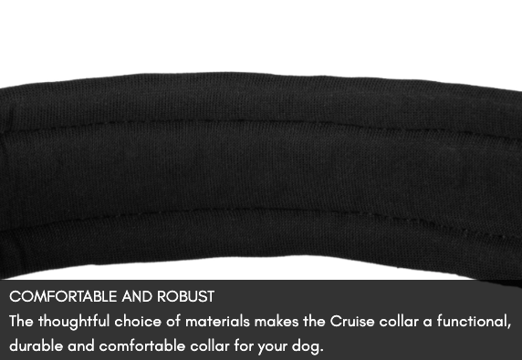 CRUISE COLLAR