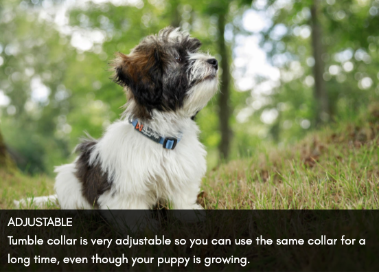 TUMBLE COLLAR