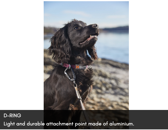 TUMBLE COLLAR