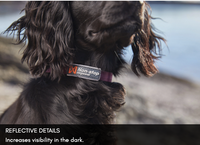 TUMBLE COLLAR
