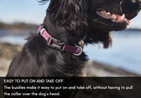 TUMBLE COLLAR
