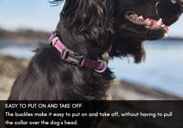 TUMBLE COLLAR