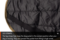 GLACIER DOG JACKET WD