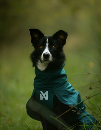 FJORD LINED RAINCOAT
