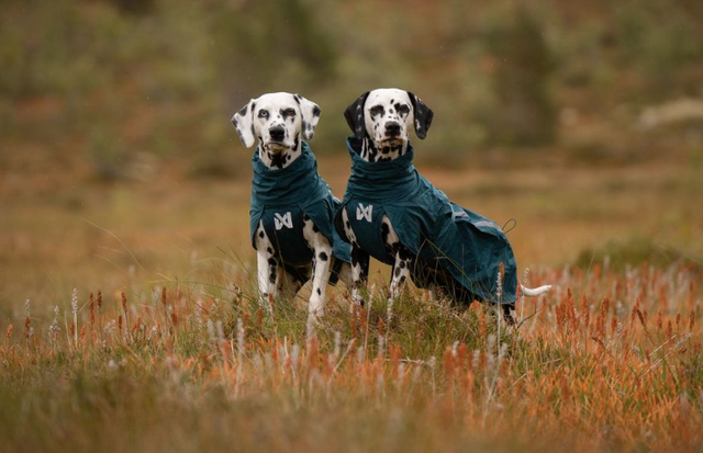 FJORD LINED RAINCOAT