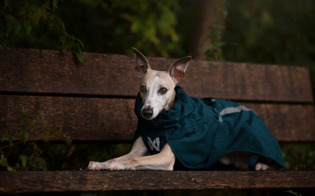 FJORD LINED RAINCOAT