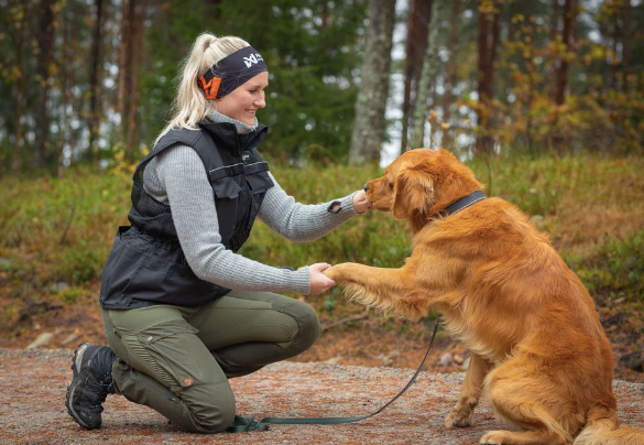 DOG TRAINING VEST