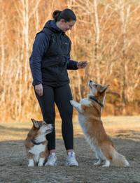 OBEDIENCE VEST WOMEN'S