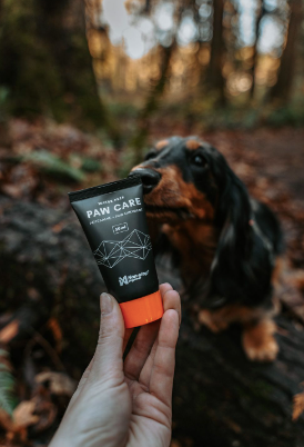 Paw Care