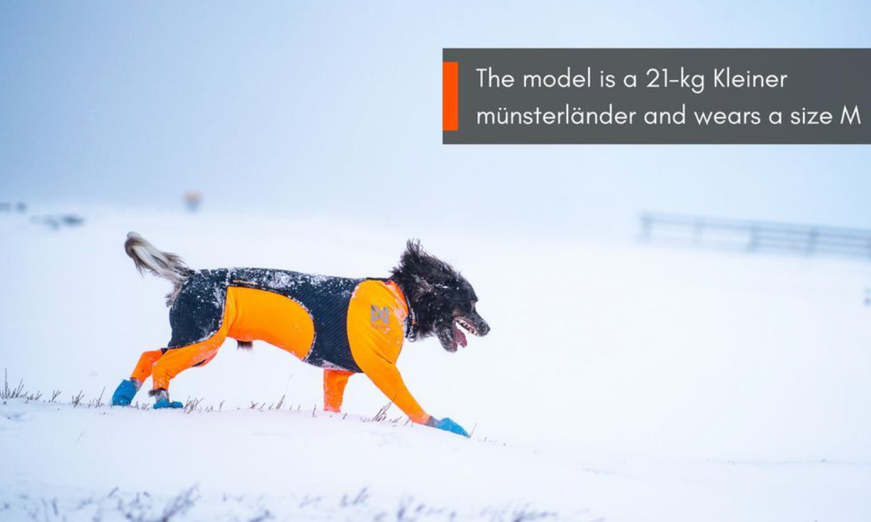 PROTECTOR SNOW - SÍÐUSTU EINTÖK !