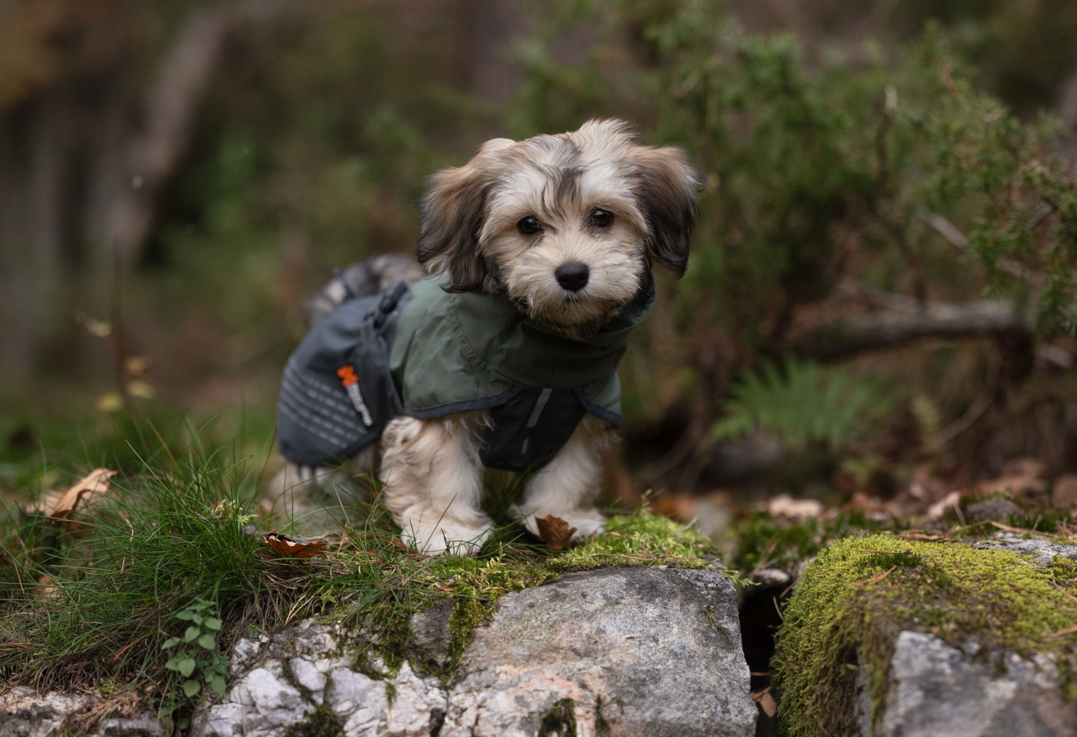 FJORD RAINCOAT - SÍÐUSTU EINTÖK !