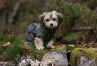 FJORD RAINCOAT - SÍÐUSTU EINTÖK !