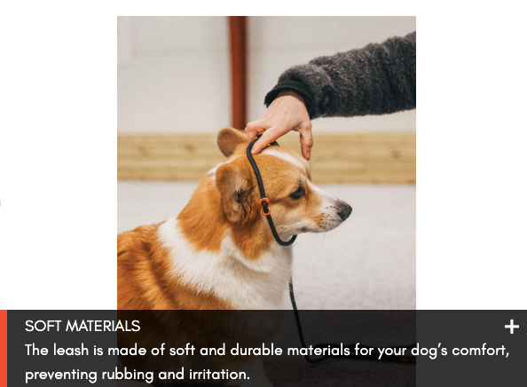RETRIEVER LEASH