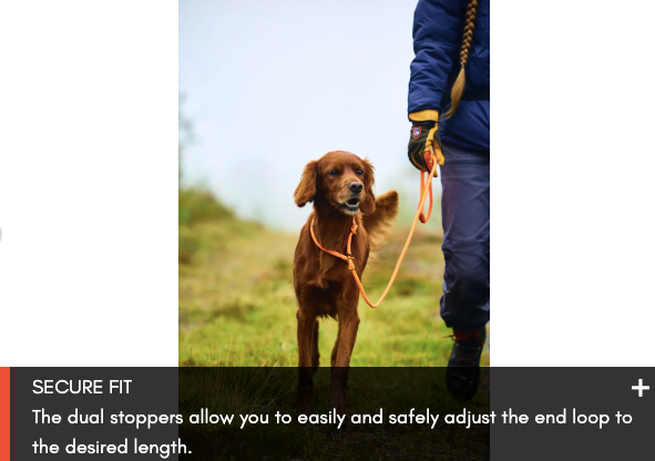 RETRIEVER LEASH