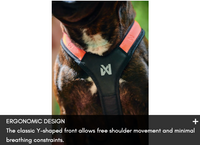 RUSH HARNESS