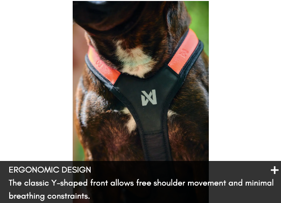 RUSH HARNESS