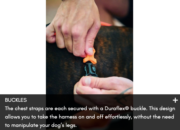 RUSH HARNESS