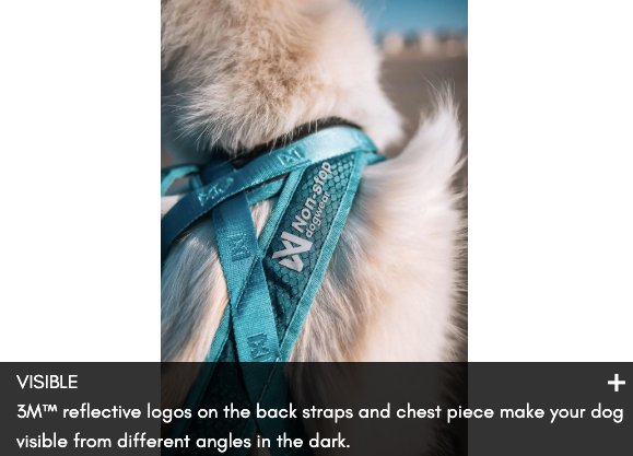 RUSH HARNESS