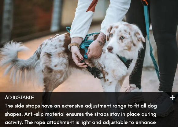 RUSH HARNESS