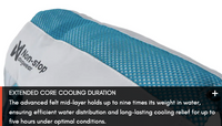COOLING VEST