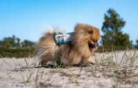 COOLING VEST