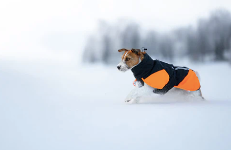 GLACIER JACKET 3.0