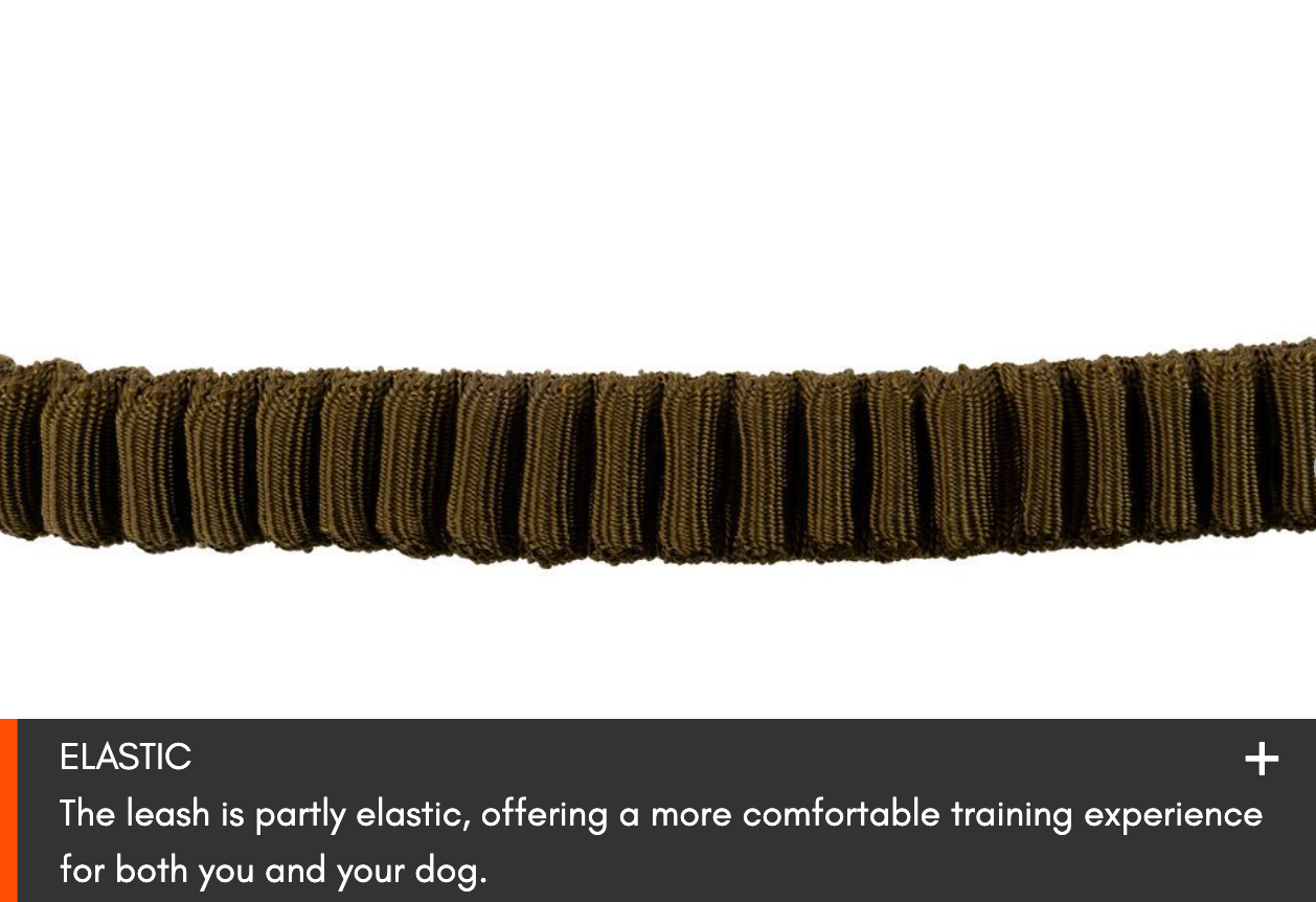 TOURING BUNGEE LEASH WD
