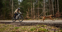 TOURING BUNGEE LEASH WD