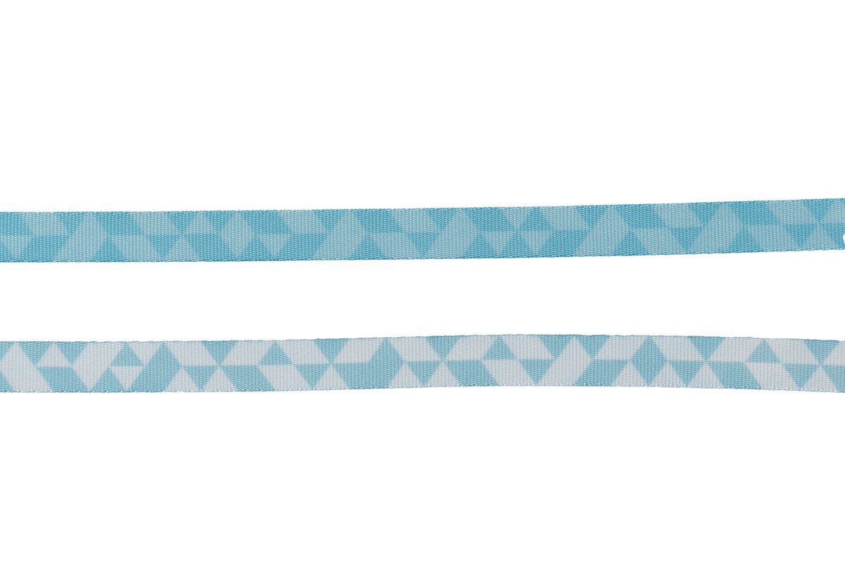 TRAIL QUEST LEASH