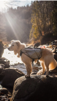 TRAIL LIGHT DOG BACKPACK