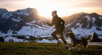 TRAIL LIGHT DOG BACKPACK