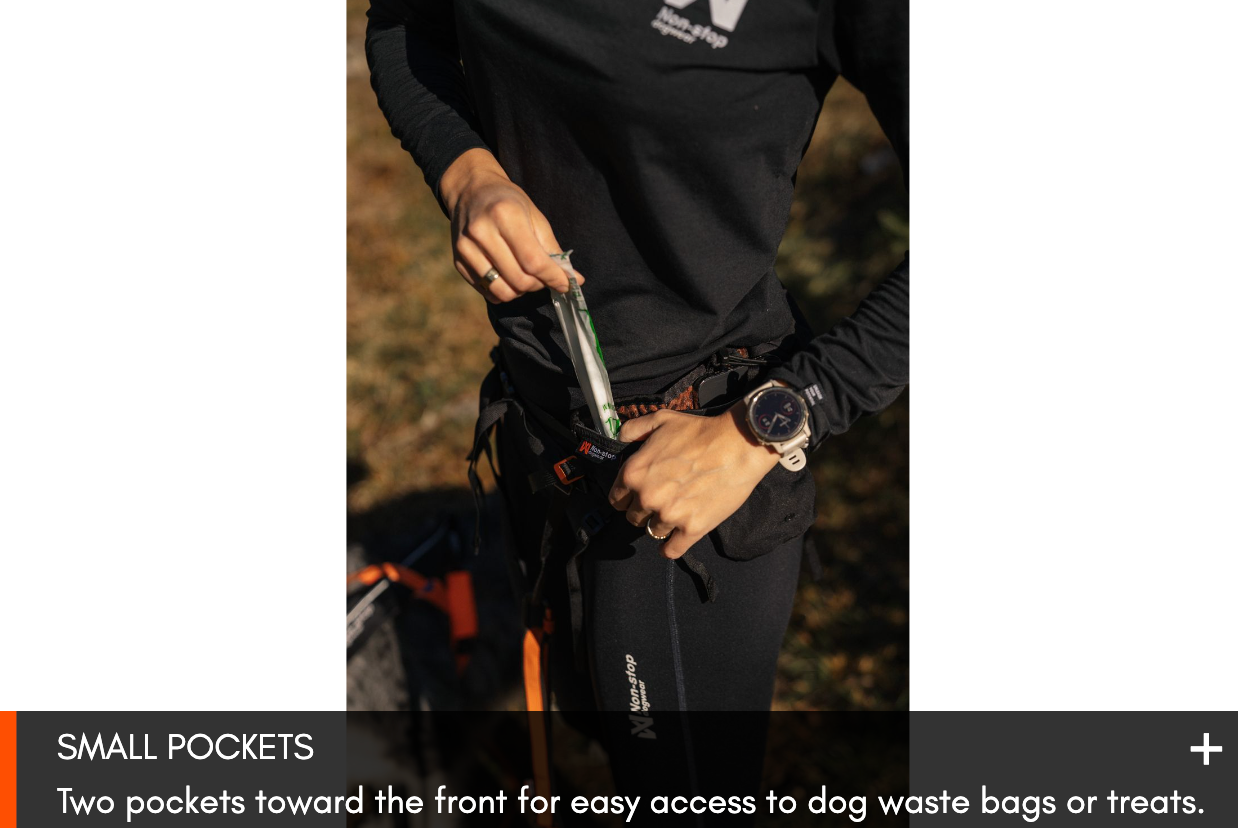 TRAIL LIGHT BELT
