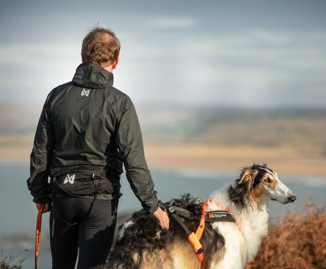 TRAIL LIGHT BELT