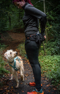 TRAIL LIGHT BELT