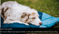 TREKKING DOG BED