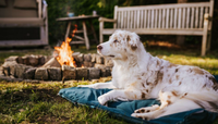 TREKKING DOG BED