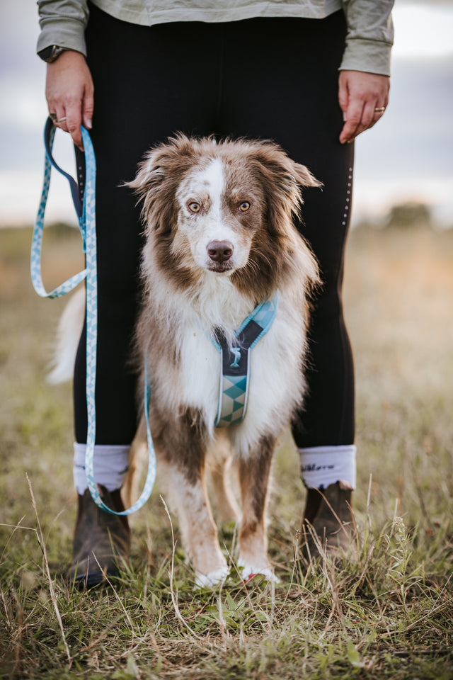 Trekking line harness CLIP'N™