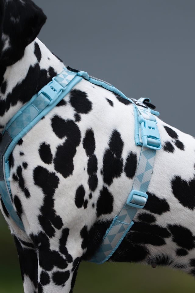 Trekking line harness CLIP'N™