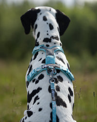 Trekking line harness CLIP'N™