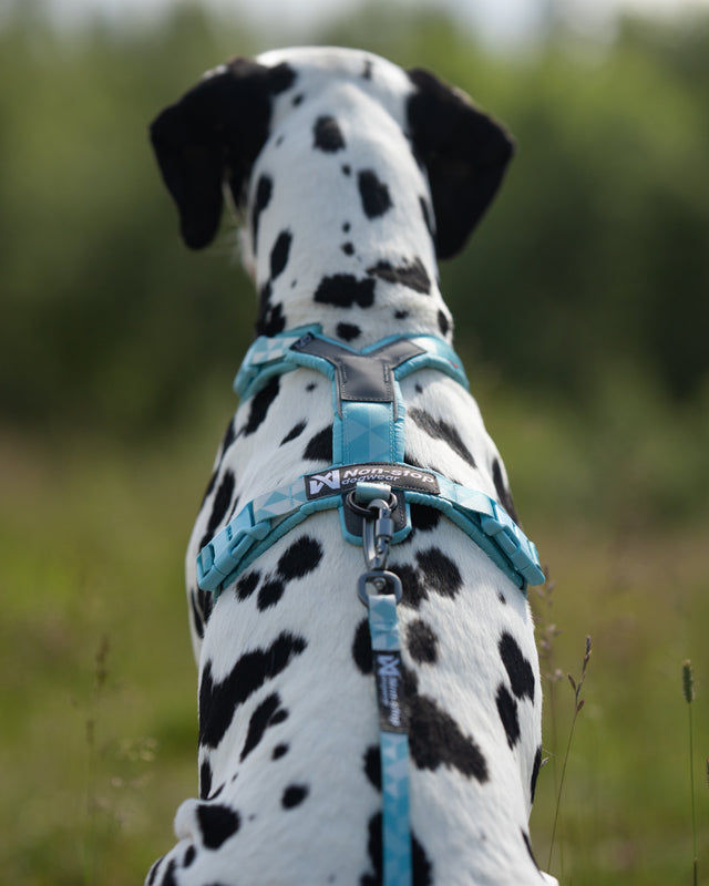 Trekking line harness CLIP'N™