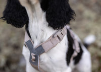 Trekking line harness CLIP'N™